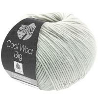 Cool Wool Big Uni / Melange (1002, Бело - серый)