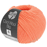 Cool Wool Big Uni / Melange (993, Лососевый)