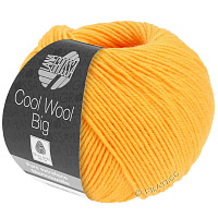 Cool Wool Big Uni / Melange (995, Темно - желтый)