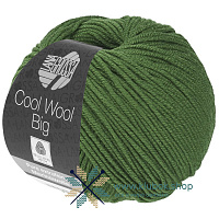 Cool Wool Big Uni / Melange (997, Зеленый)