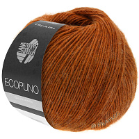Ecopuno (049, Корица)