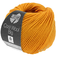 Cool Wool Big Uni / Melange (974, Желто - оранжевый)