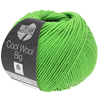 Cool Wool Big Uni / Melange (941, Светло - зеленый)