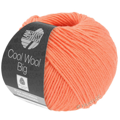 Пряжа Lana Grossa Cool Wool Big Uni / Melange в интернет магазине Дом Пряжи.